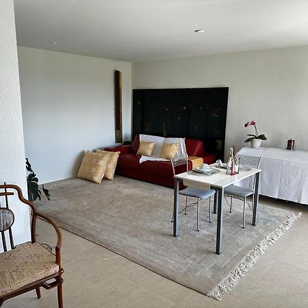 Lakeview Apartment-Lavaux Grandvaux 외부 사진