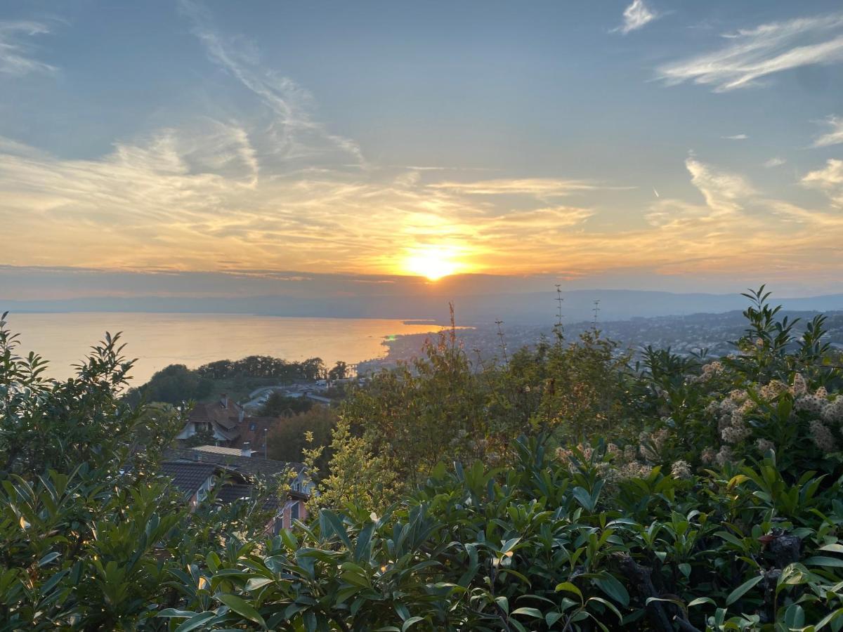 Lakeview Apartment-Lavaux Grandvaux 외부 사진